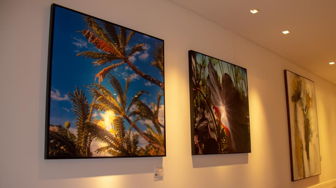 Exposição ‘Mares da Arte’ recebe o público gratuitamente até o final do verão em Balneário Camboriú/SC